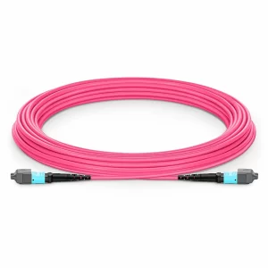 Custom MTP®-12 Fiber Patch Cables, 8-288 Fiber, Multimode (OM4)