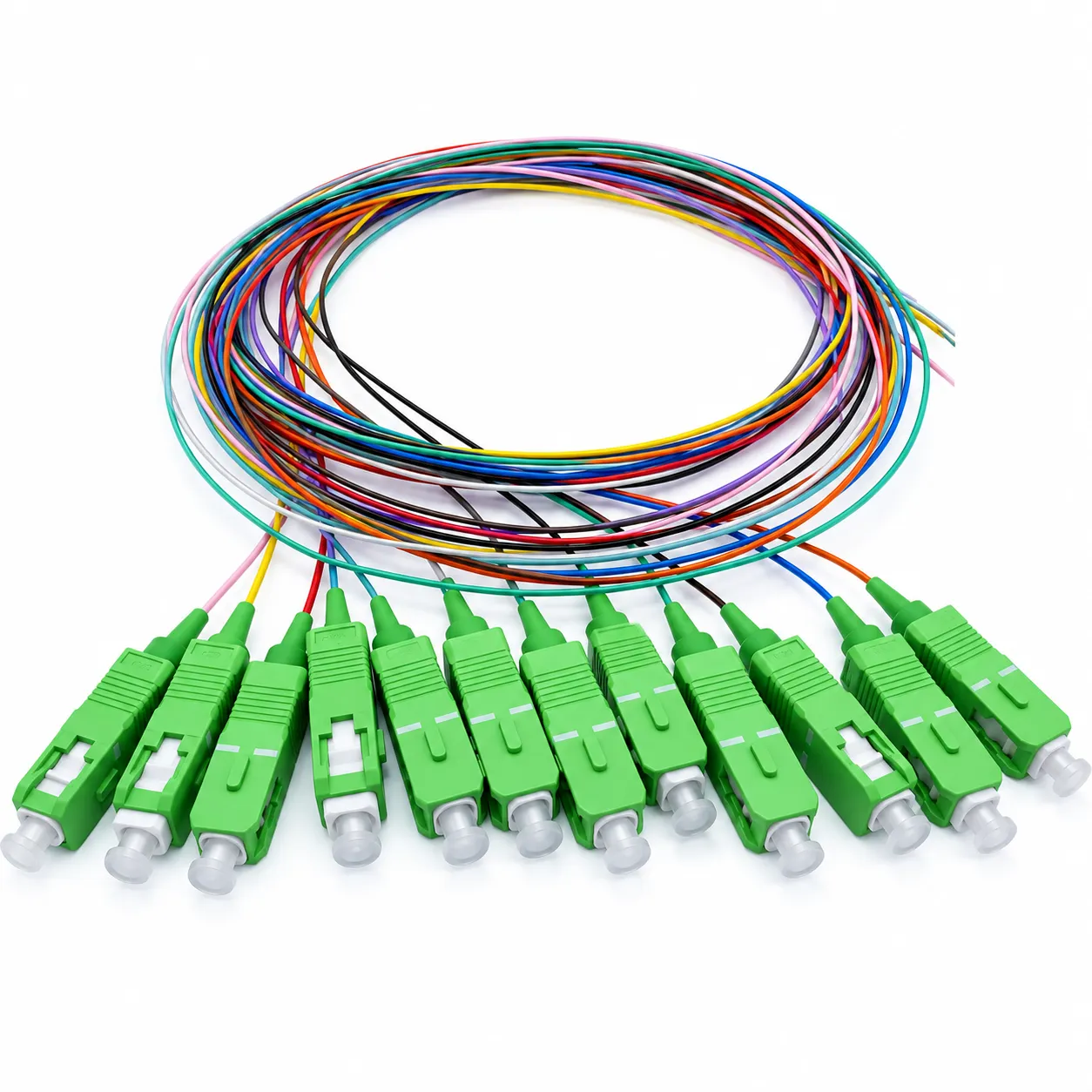 12 fiber SC APC single-mode pigtail with green SC connectors and color-coded coiled fibers