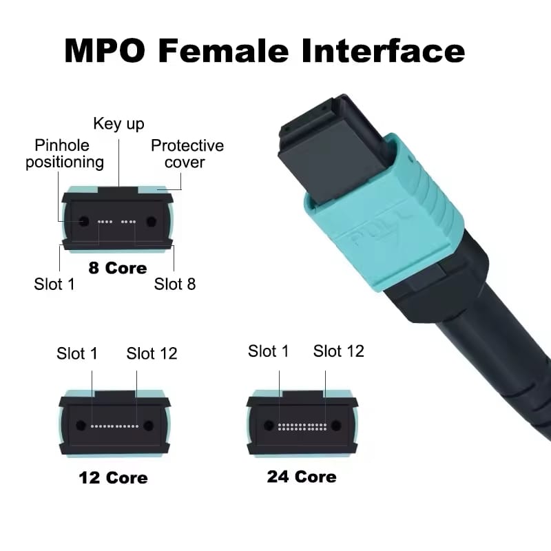 MPO to LC 12Core Multi-Mode Fiber Optic Patch Trunk Jumper Cord OM3/OM4/OM5 40Gb/100Gb Female Type B UPC LSZH