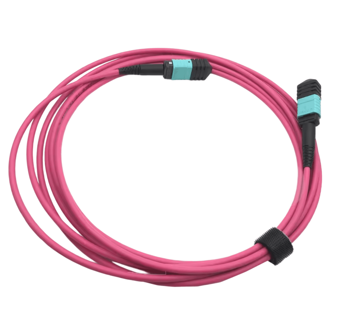12 Fibers Multimode (OM4) Patch Cable, Type B, LSZH, 3.0mm, Max IL ≤ 0.35dB, Magenta: imagen 2