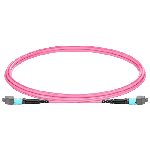 12 Fibers Multimode (OM4) Patch Cable, Type B, LSZH, 3.0mm, Max IL ≤ 0.35dB, Magenta